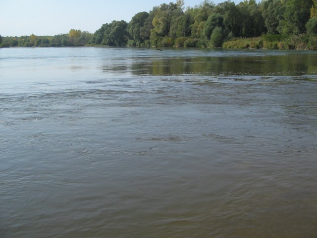 finnek 2011 011